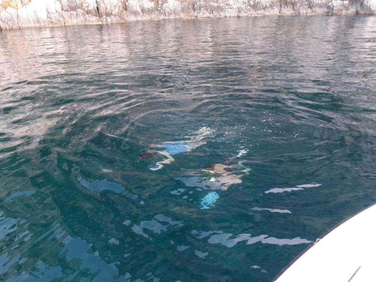 Apartmani Ana I Predrag Lopar Εξωτερικό φωτογραφία